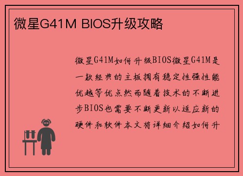 微星G41M BIOS升级攻略